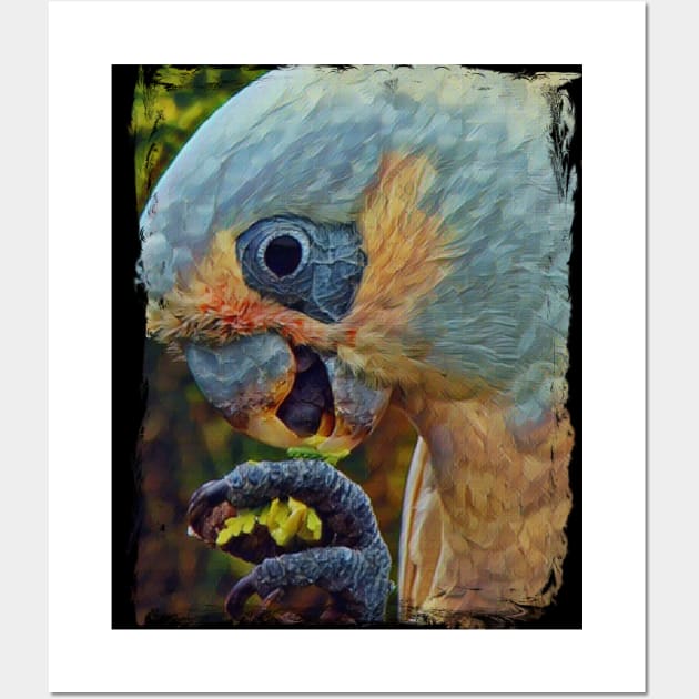 Parrot Wall Art by Kielly